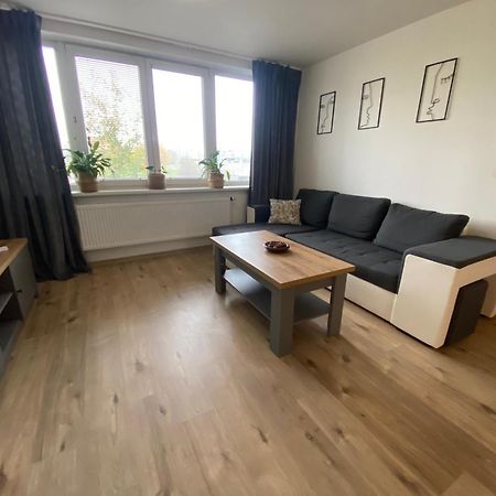Apartmány Černý Tulipán #5 Plzeň Exteriér fotografie