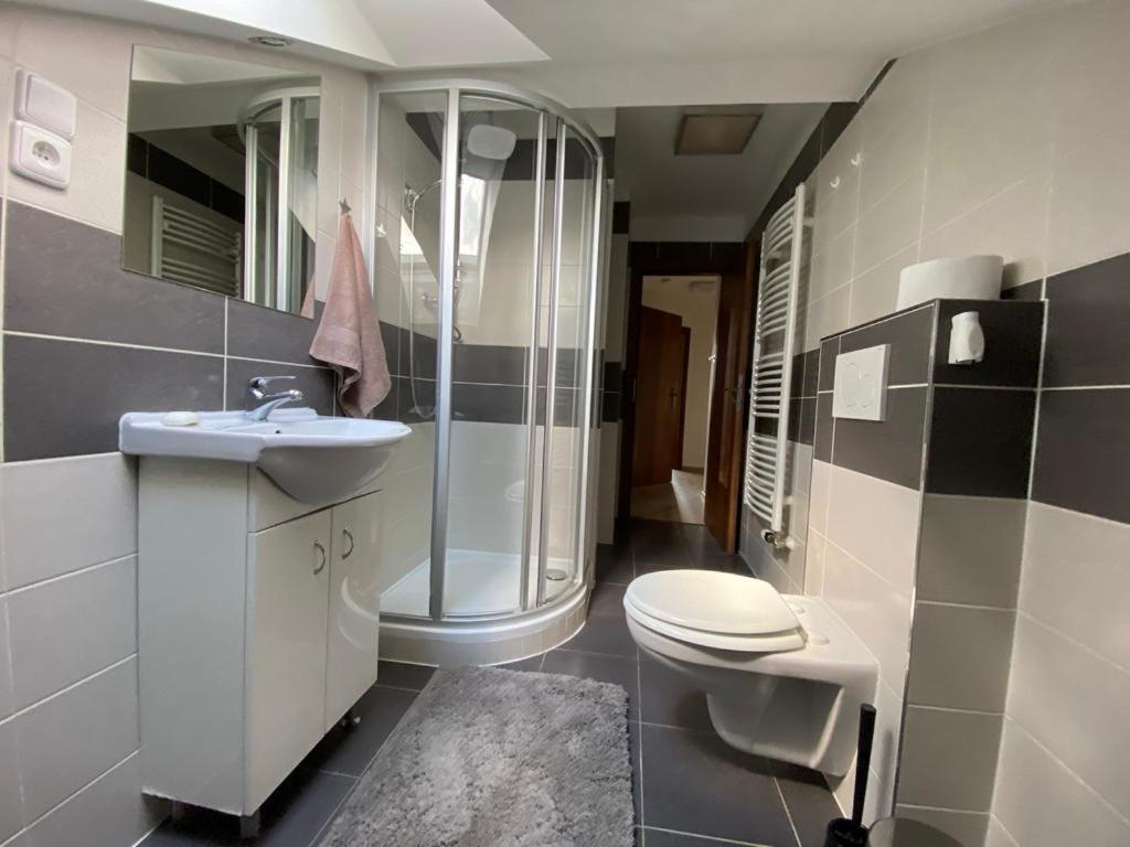 Apartmány Černý Tulipán #5 Plzeň Exteriér fotografie
