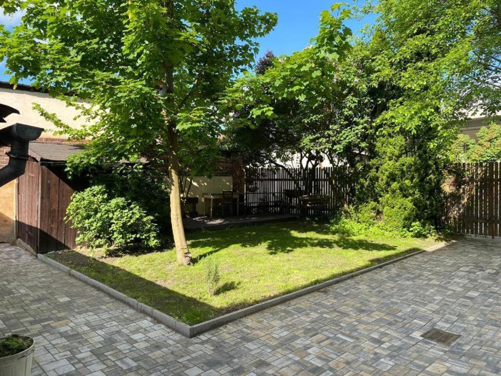 Apartmány Černý Tulipán #5 Plzeň Exteriér fotografie