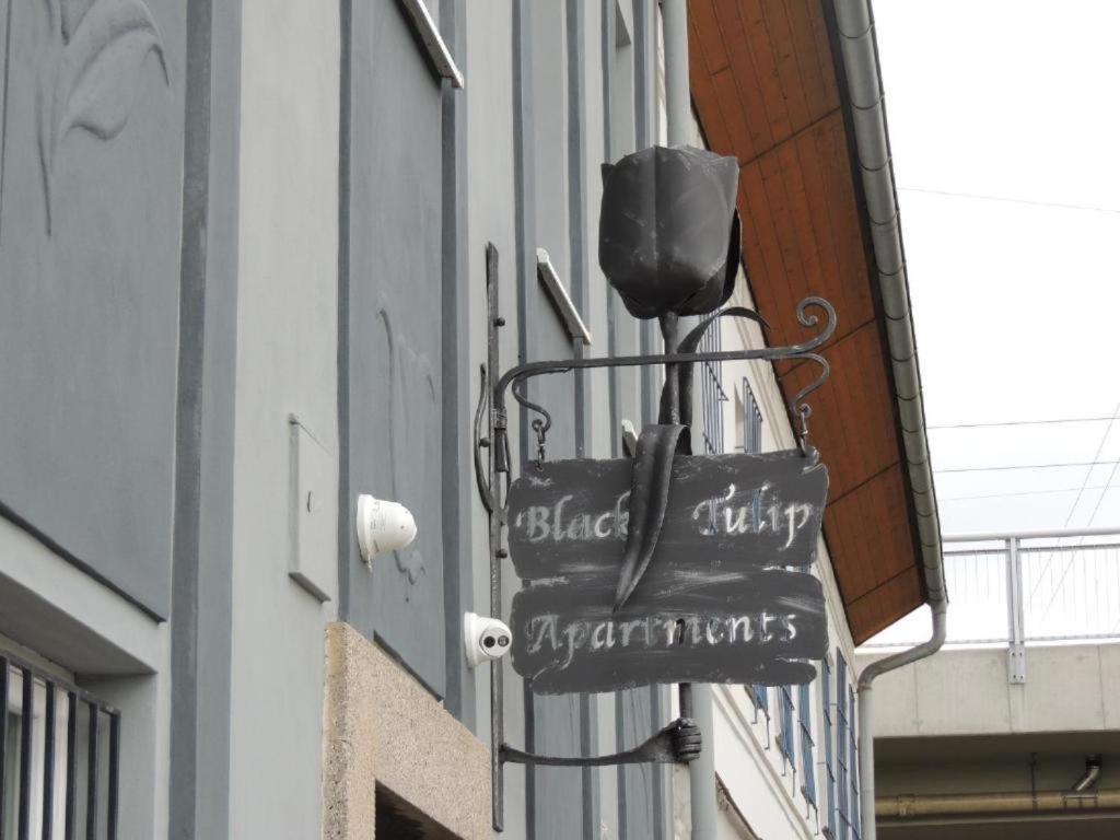 Apartmány Černý Tulipán #5 Plzeň Exteriér fotografie