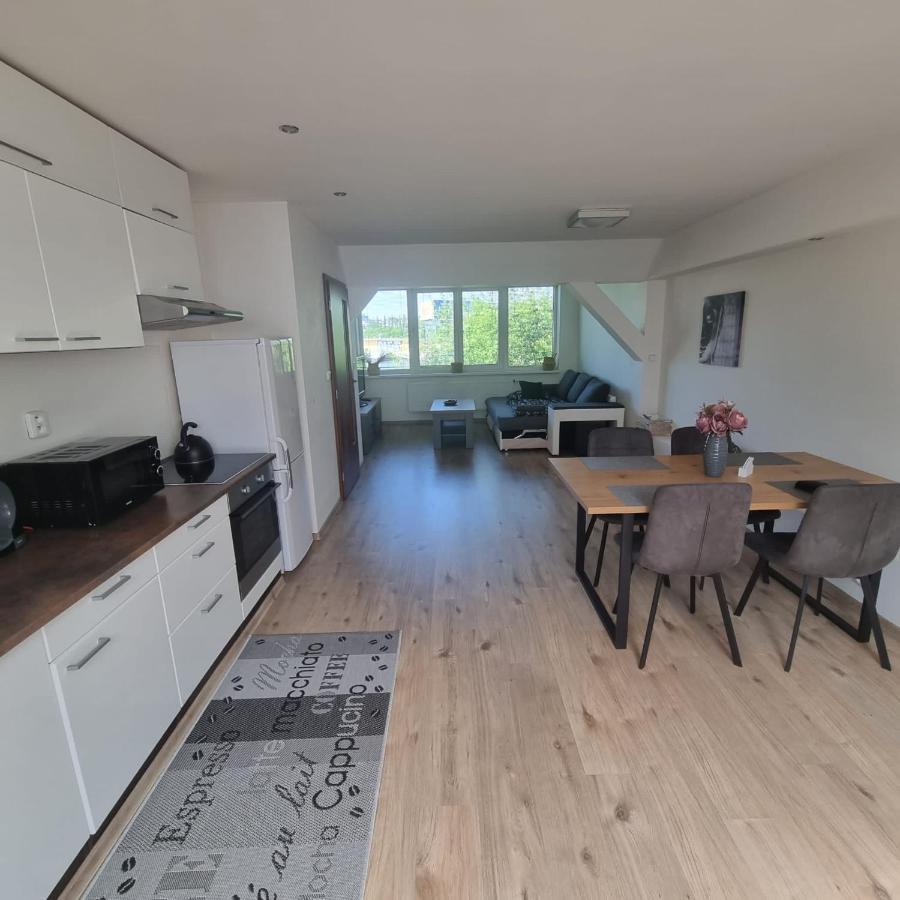 Apartmány Černý Tulipán #5 Plzeň Exteriér fotografie