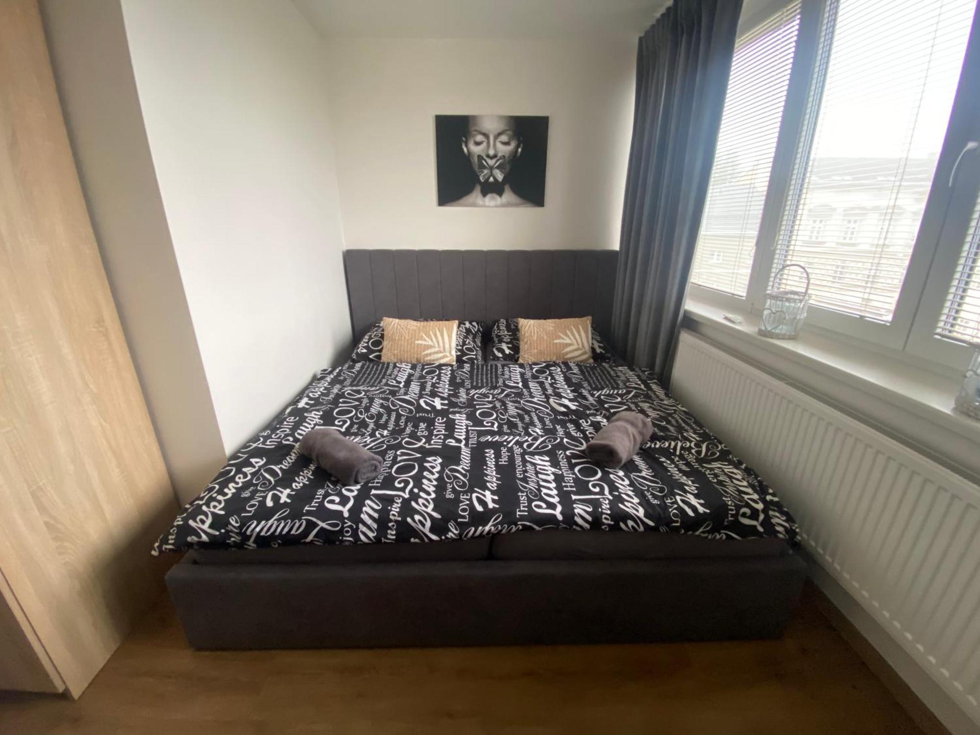 Apartmány Černý Tulipán #5 Plzeň Exteriér fotografie
